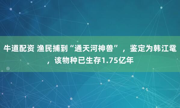 牛道配资 渔民捕到“通天河神兽” ，鉴定为韩江鼋，该物种已生存1.75亿年